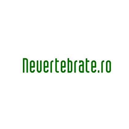 Nevertebrate
